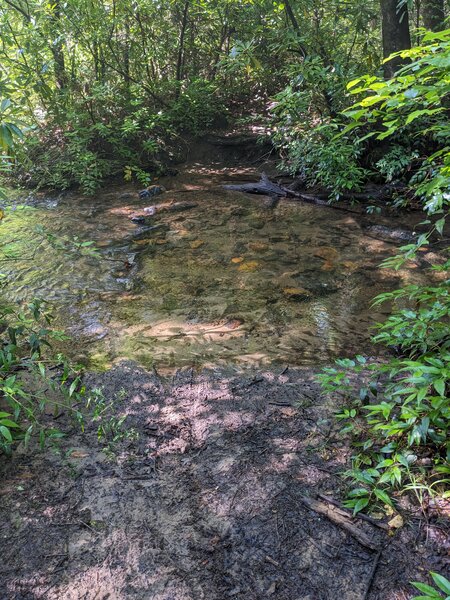 Several creek crossings so plan for wet feet.