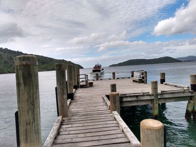 Meretoto/Ship Cove - you're on your own now!