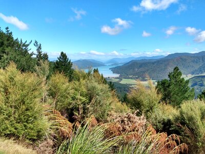 Kenepuru Sound from near Eatwell's Lookout.