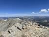 Top of Mt. Massive. There is a marmot in the picture.