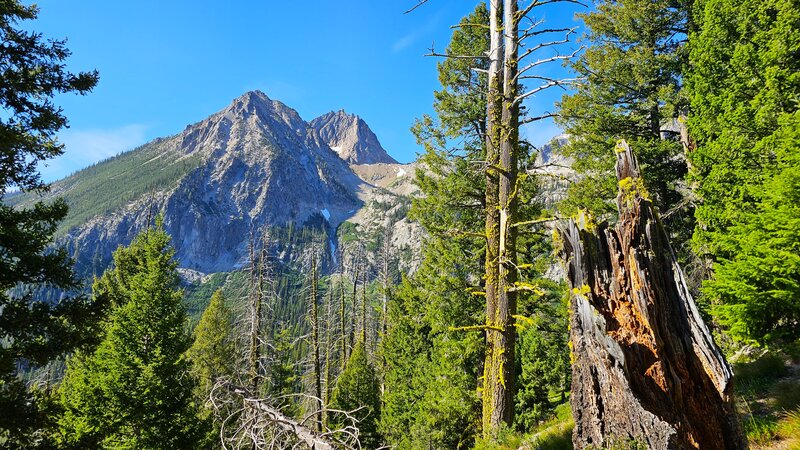 Alpine Way Trail