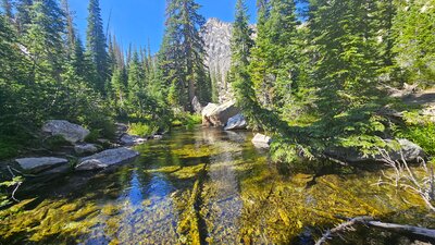 Goat Lake Creek