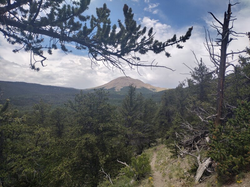 East Buffalo Peak from the Salt Creek Trail.