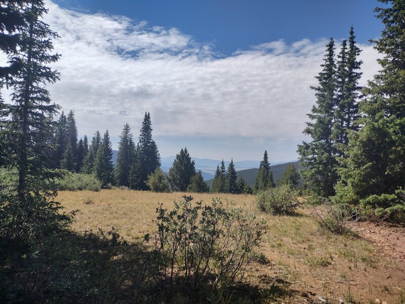 Saddle at the highpoint of Tumble Creek Trail, looking South towards Buena Vista.