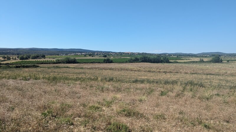 View from Cournonsec - Fabregues Vineyard Route