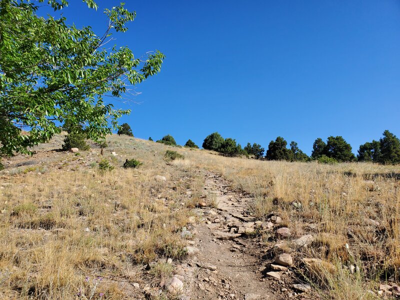 Typical trail surface on Smelter: steep, rocky, not much shade.