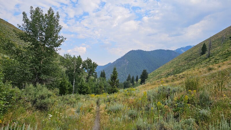 View from the trail