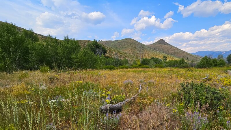 View from the trail