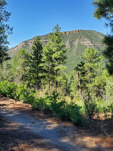 Looking west from the Twin Buttes trail