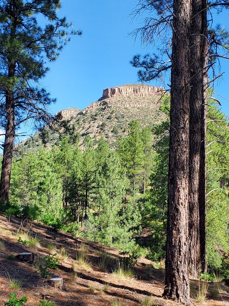 The Twin Buttes in the distance