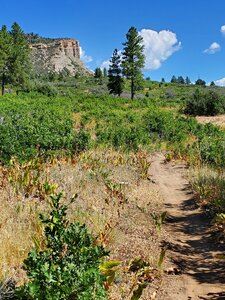 Perins Peak in the distance