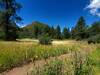 Large peaceful meadow with the smaller butte in the distance