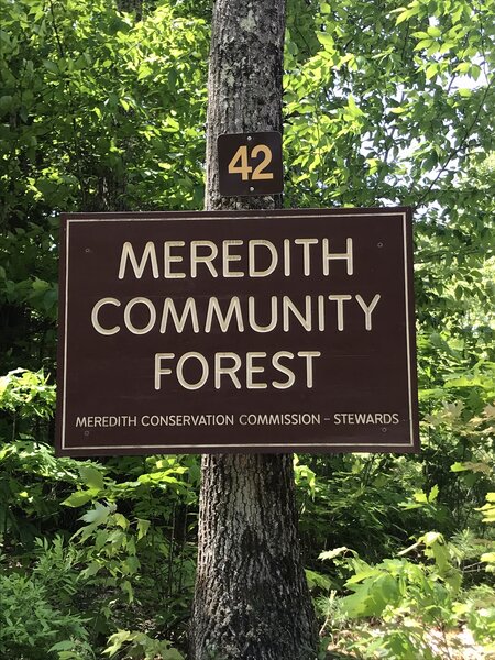 Meredith Community Forest