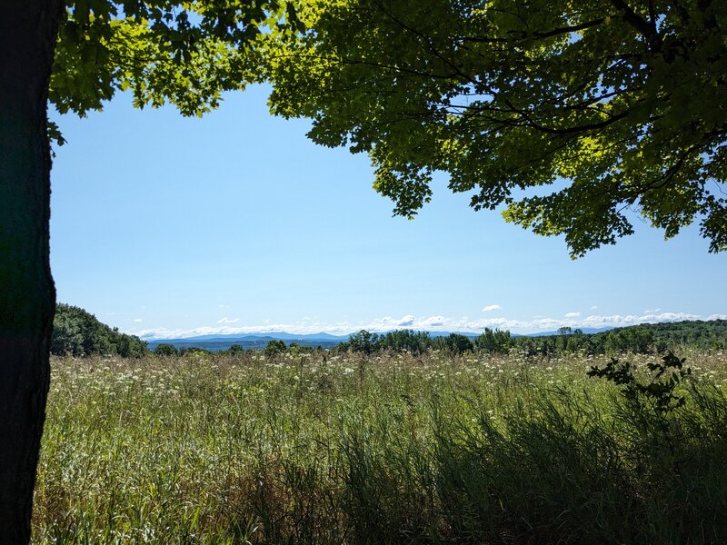 View from the bench