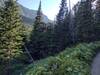 Nearby mountains and deep valleys are seen through the pretty forest along Rowe Lakes Trail.