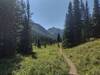 Small meadow in the mountains along Twin Lakes Trail.