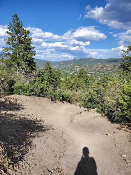 Steep descent of Neds Hill Trail.