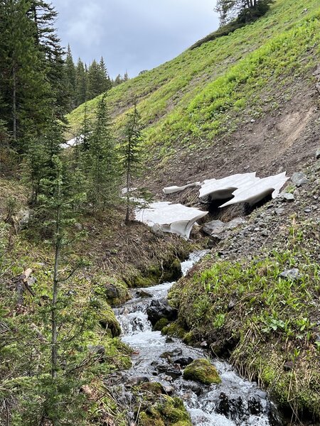 Mid June and the last of the snow.