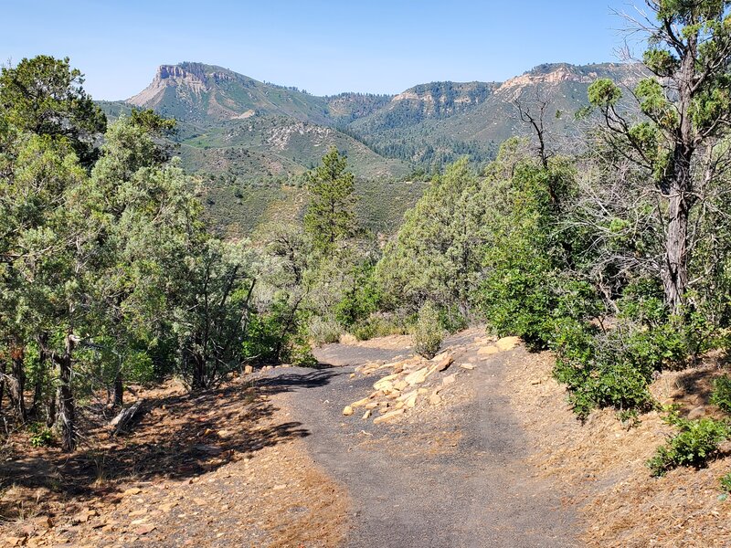 Distant views to the west