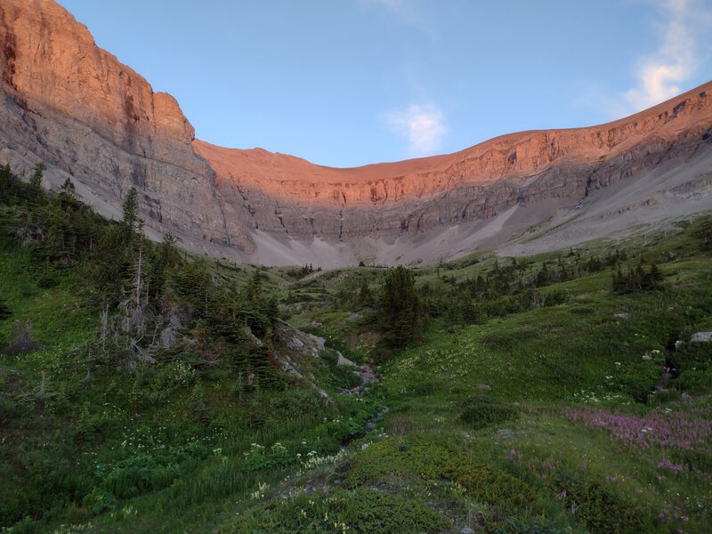 The Beehive Mountain ampitheature is lit by dawn's early light as the sun begins to rise. Beehive Creek (center) tumbles down through meadows abounding with summer wildflowers.
