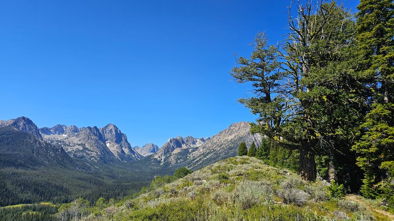 Alpine Way Trail