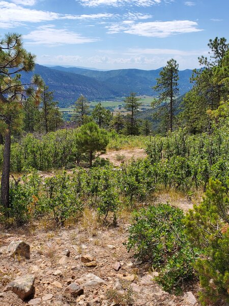 Looking south over the Animas Valley.