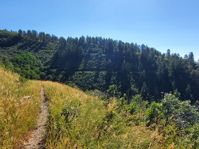 Parts of Westview Loop carved into the opposite hillside.