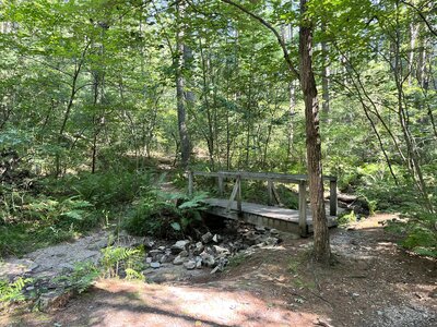 Lots of well maintained little bridges. Looks like it can be a wet path when it rains.