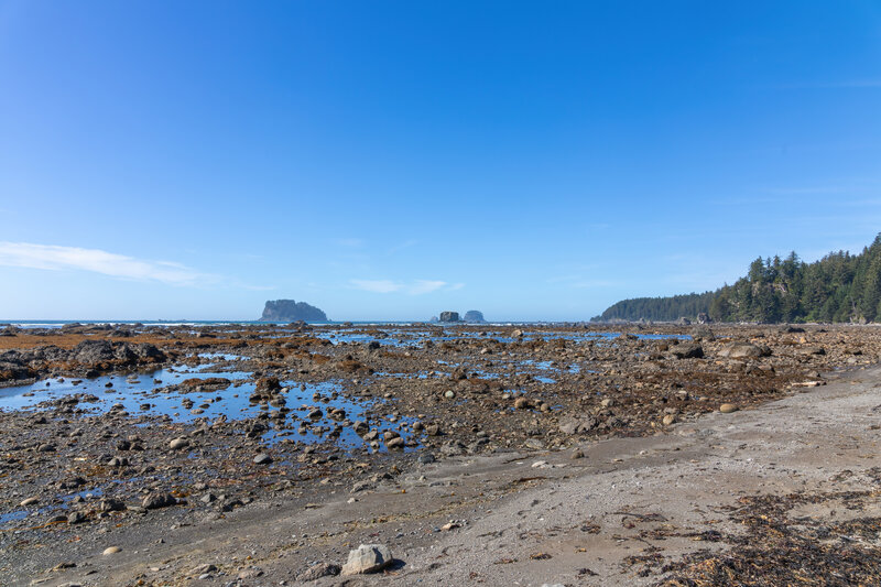 The rocky beach at low tide.