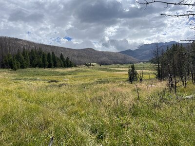 Mummy Pass / Hague Creek drainage.