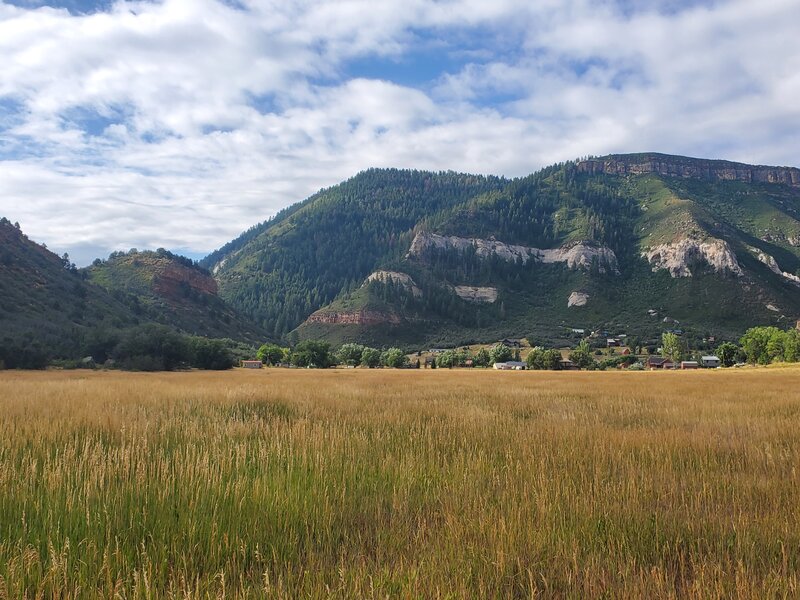 Great views to the south over golden grasses in August.