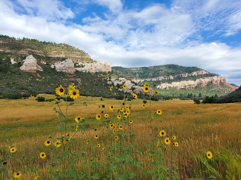 Sunflowers and colorful cliffs towards the west.