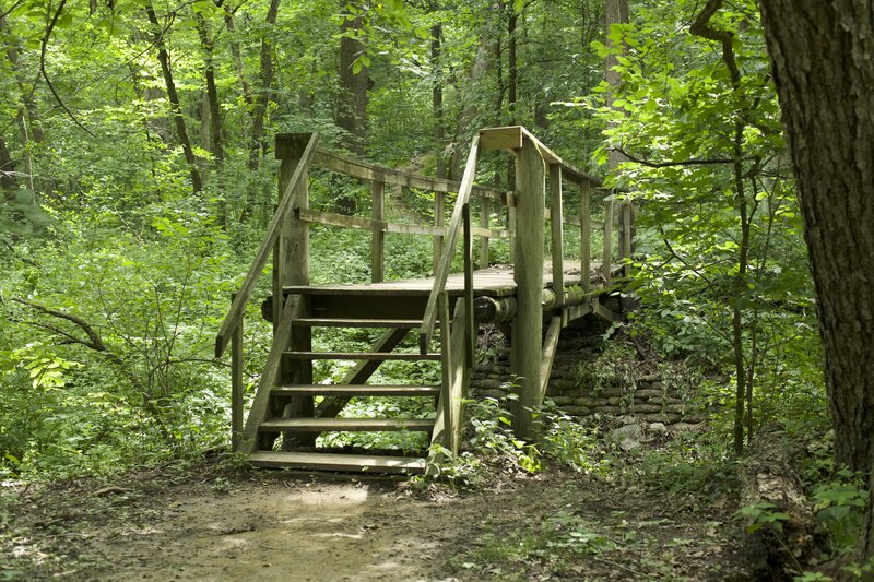 A wooden bridge crosses a small creek at the bottom of the hill before the trail climbs steeply up the hillside.