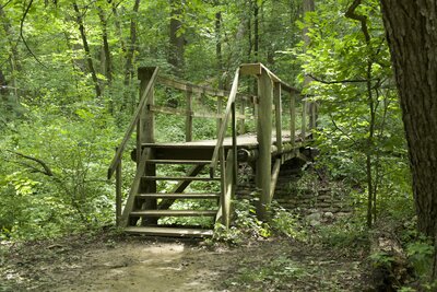 A wooden bridge crosses a small creek at the bottom of the hill before the trail climbs steeply up the hillside.