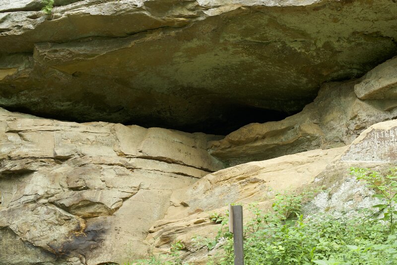 The larger of the two caves that are on the Cave Trail that sits above the trail.