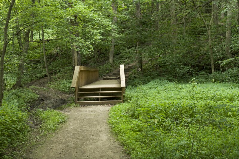 The trail crosses a short wooden bridge over a marshy area before climbing up the hill via railroad tie steps.