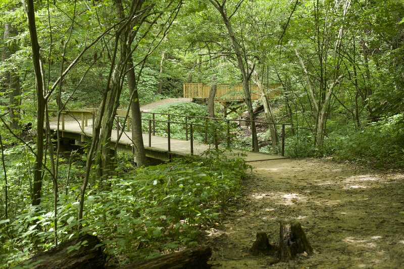 The punch bowl trail crosses several bridges that keep you above the creeks and allow you to see wildflowers and other plants that call the area home.