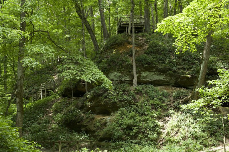 The trail climbs out of the punch bowl via a series of wooden steps that lead up to a platform where you can enjoy views of the punch bowl.