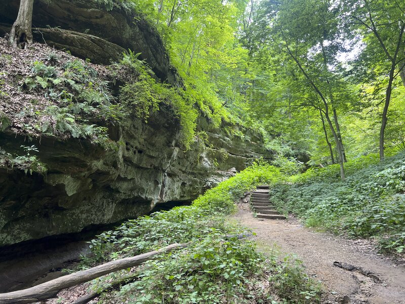 The trail meanders around stone cliffs and you can see where the water has cut a channel in the bottom of the rock.