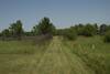 The trail begins along a mowed path that borders the fence line.