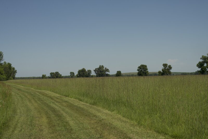 The hike borders the forest and you can enjoy views of a typical high grass prairie.