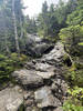 From Camel's Hump, the second tallest mountain in VT!