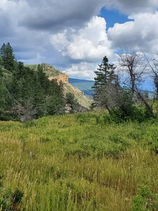 Views towards the north from the saddle.