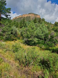 Views from the mid-section of Perrins Peak trail.