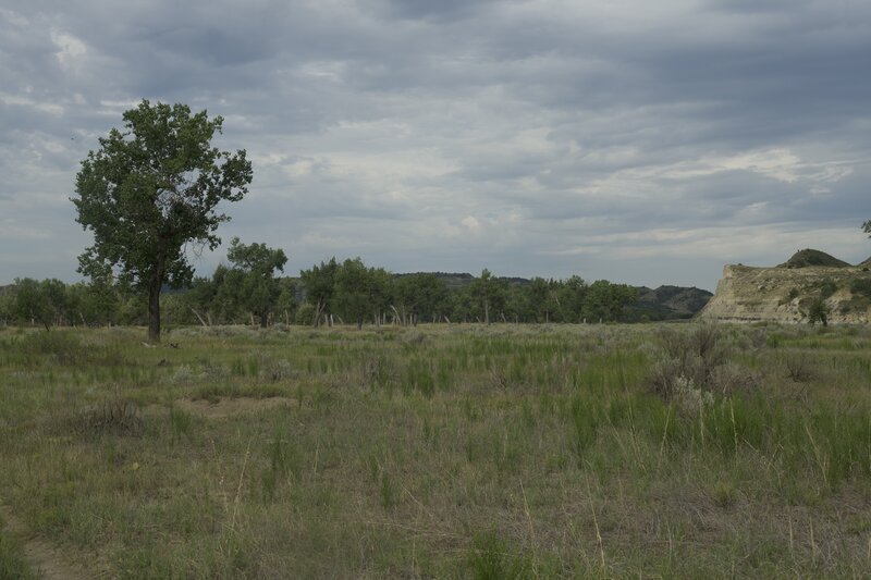 The trail moves through the bottomland in the park, giving you some nice views.  There is little tree cover, so make sure to wear a hat and sunscreen, and have enough water for your trip.