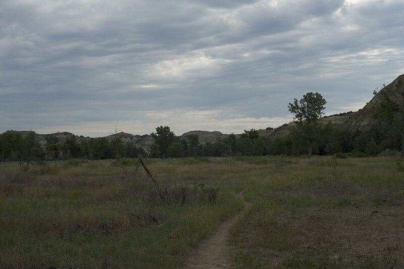 The trail is a narrow dirt singletrack that winds its way from Peaceful Valley Ranch to the Jones Creek Trailhead.  It passes through where the CCC camp was located in the 1930s. It was the CCC that helped build a lot of the park trails.