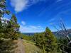 Going back down the Tullin Mountain Trail.