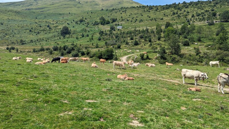 Courtaou des Esclozes Loop.