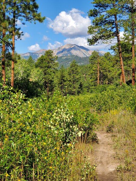 View towards the west from Logchutes #2.