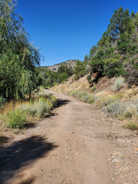 Wide start to Horse Gulch Road.